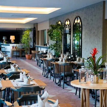 Kentia * Manavgat